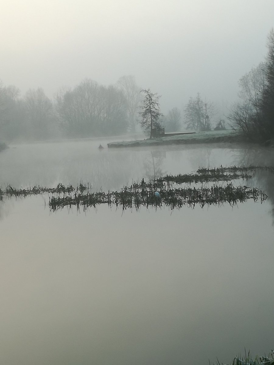 Foto di Gianki 
Nebbia al parco
