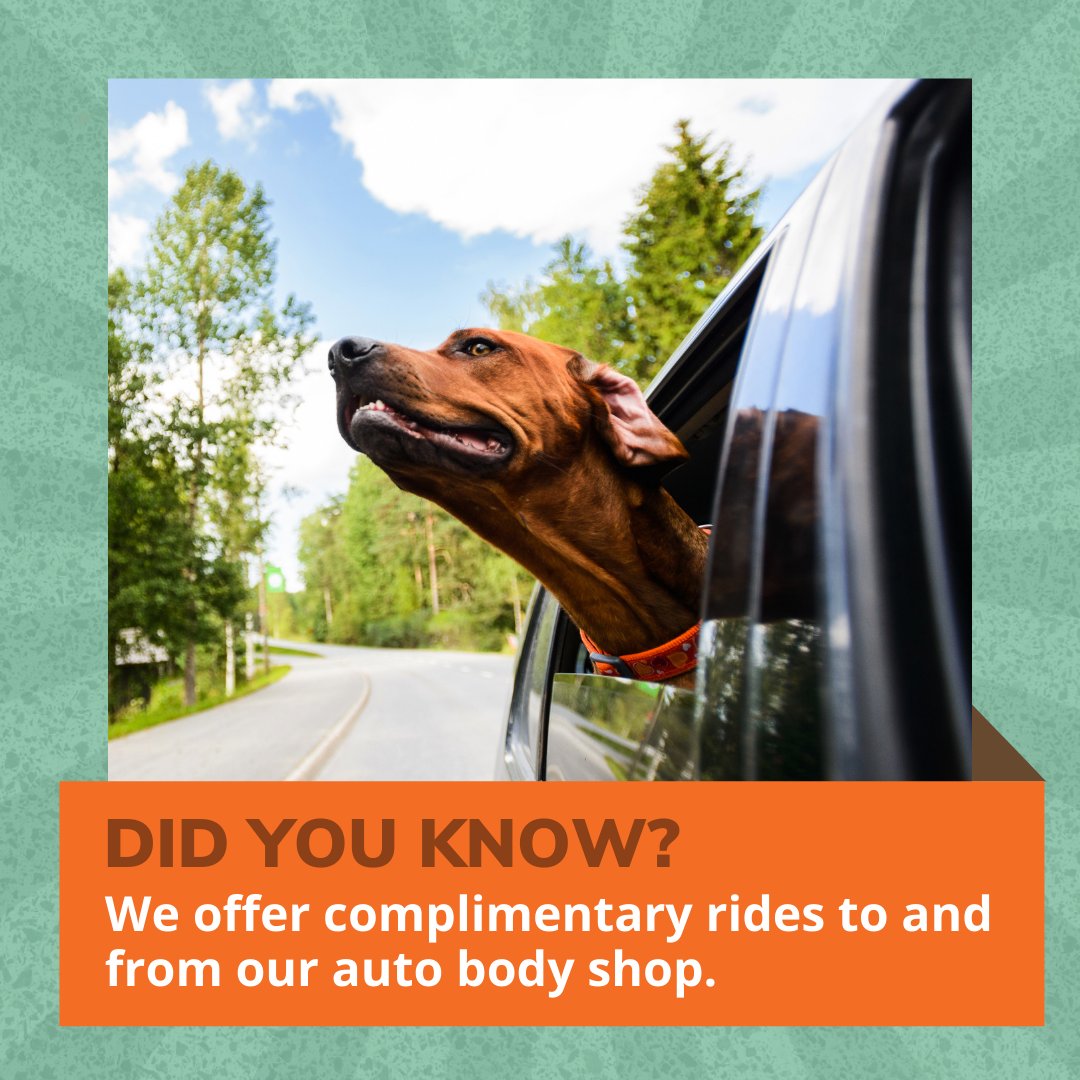 prontobody's tweet photo. Don't have a ride to drop off your vehicle? We will take you to and from the Pronto Body Shop. Just give us a call (915)533-0912. You can always visit us at 1420 Myrtle Ave.

#ProntoBodyShop #WePaintCars #915 #CollisionRepair #BodyShop #ElPasoProud #WomanOwned #ElPaso #Orange #C https://t.co/CJfrGq8Whf