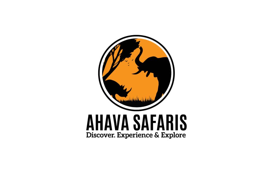 blessedesignsUg's tweet photo. Project: Logo Rebrand
Client: Ahava safaris Uganda
Duration Taken: 13 days

Sometimes it's always good to know what the client wants but with caution the details. 

#AhavaSafarisUganda #BlessedDesigns #LogoDesign #TourismUganda #LifeOfAFreelancerGraphicsDesigner https://t.co/CeIsOZ4hza
