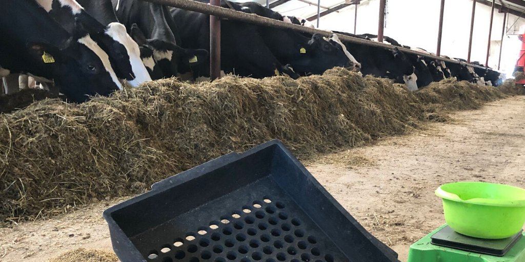 BioFeed4 tweet picture