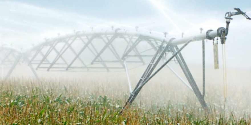 Arter_ER's tweet photo. L'agricoltura impiega il 70% delle riserve idriche mondiali.
Il 06/02 #CNR un incontro organizzato dal Clust-ER #Agrifood per parlare di gestione smart delle risorse grazie all'IoT.
Info e iscrizioni: marco.foschini@agrifood.clust-er.it
#precisionagriculture
#highlanderproject https://t.co/PMM3QwUzKI