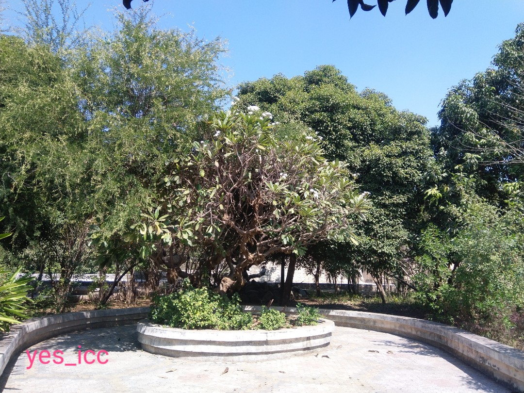 DevelopedSurat's tweet photo. Around #20_ft_Height #Water_Fall would #Starts @ #Butterfly_Park , #Sarthana_Zoo #VarachhaRoad
#20_ફૂટ_ઉંચો_ધોધ
#પતંગિયા_પાર્ક , #સરથાણા_ઝૂ માં #શરુ_થશે ..
#Surat #Gujarat #VarachhaZone #yes_icc Clicked by #FenilThakkar @OurSMC @ikumarkanani @DrJagdishSurat @CommissionerSMC ji https://t.co/WBWQQu0TZr