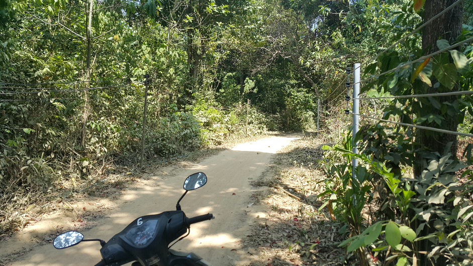 This is how it should be done You just put the electricity lines high enought that the small children cant reach them. So when you are tall enought to reach them, you should also be smart enought to know that you should not touch them. For everyone else there is natural selection
