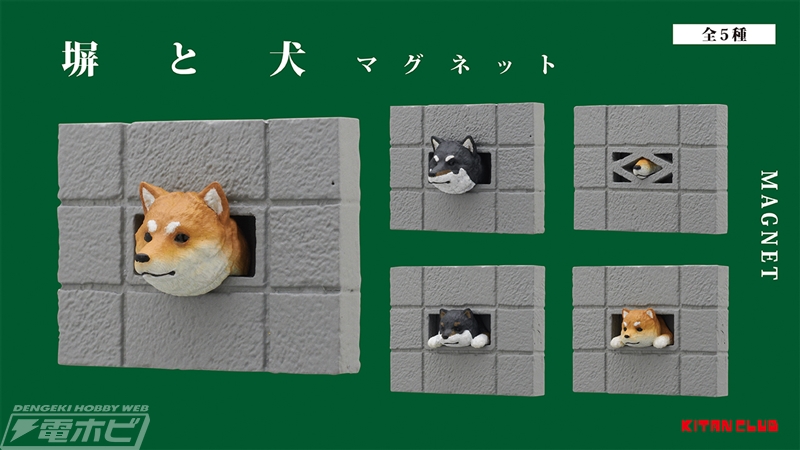 電撃ホビーウェブ 150rt あの可愛い姿をいつでも楽しめる ブロック塀の穴から顔を覗かせている犬 が カプセルトイでフィギュア化 狭い穴から鼻だけ出したシュールなシチュエーションを含む全5種 T Co Wavyhuih6m 柴犬 塀と犬 マグネット 電撃ホビーウェブ 150rt あの可愛い姿をいつでも楽しめる ブロック塀の穴から顔を覗かせている犬 が カプセルトイでフィギュア化 狭い穴から鼻だけ出したシュールなシチュエーションを含む全5種 T Co Wavyhuih6m 柴犬 塀と犬 マグネット