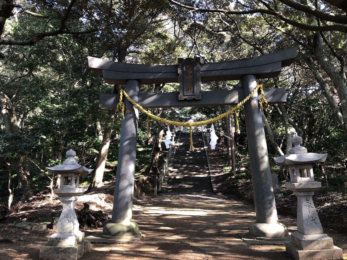 ひだやん 対馬 一ノ宮 海神神社 さんに御参り ゼーハー言いながら 石段を上がりました この石段で絶対禊払できてるハズと思うくらい この参道で 私 初めてキツツキ見ました 私 ｾﾞｰﾊｰｾﾞｰﾊｰ ｺﾝｺﾝｺｺｺﾝ 私 へ キツツキ ｺﾝｺﾝｺｺｺﾝ ｺﾝｺﾝｺｺ