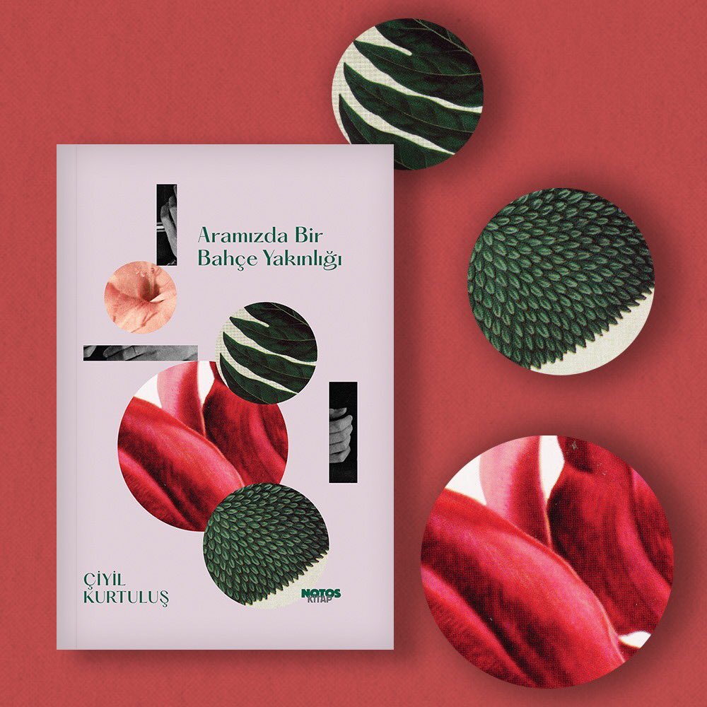 çiyilce tweet media