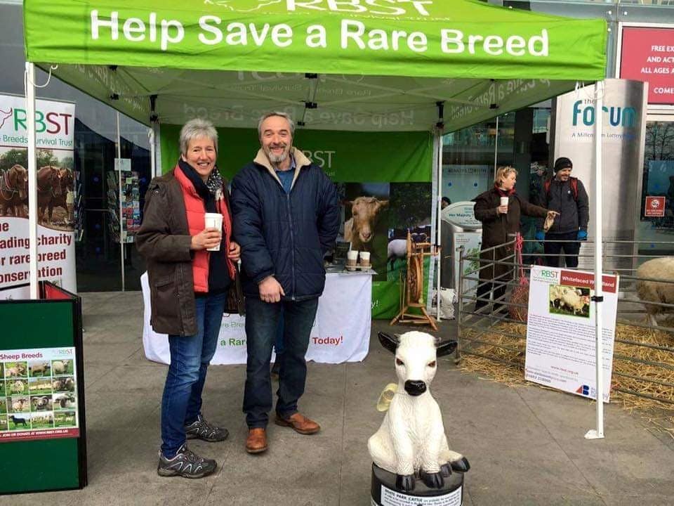 RBST East Anglia are attending the Norfolk Markers Festival at the Forum in Norwich, Saturday 8th of February. Committe members Esme and Ben are bringing 4 sheep!Yes, you read it right bringing sheep to the Center of Norwich!There will be two shearing sessions at 1100h and 1300h!