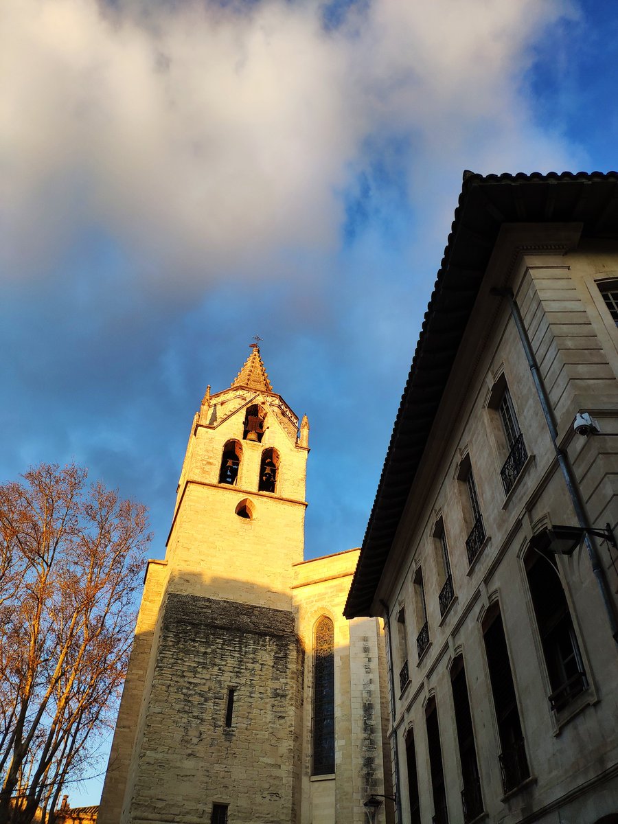 Quand le 🌞 reprend ses droits à Avignon, avec un beau ciel bleu et du mistral 😊