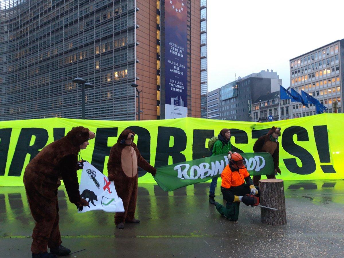 Save European Primary Forests! @robin_wood