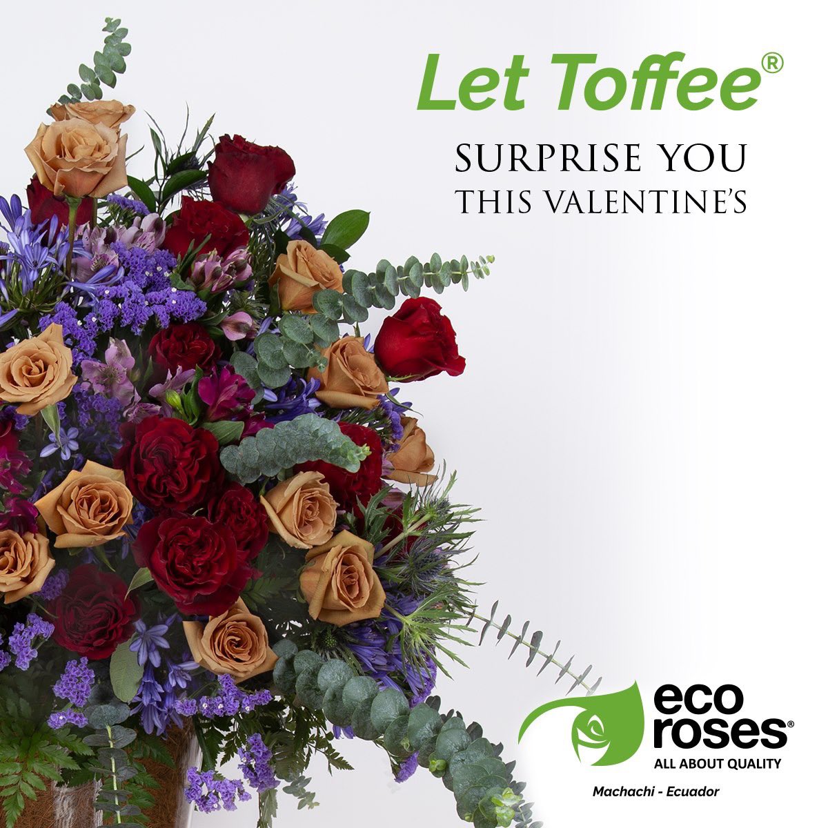 EcorosesSA's tweet photo. Our special variety that will spice up the season… Toffee! ☕️❤️ #AllAboutQuality #Ecoroses #Toffee #ToffeeRose #ValentinesDay #Vday https://t.co/hLjj2Vz4XS