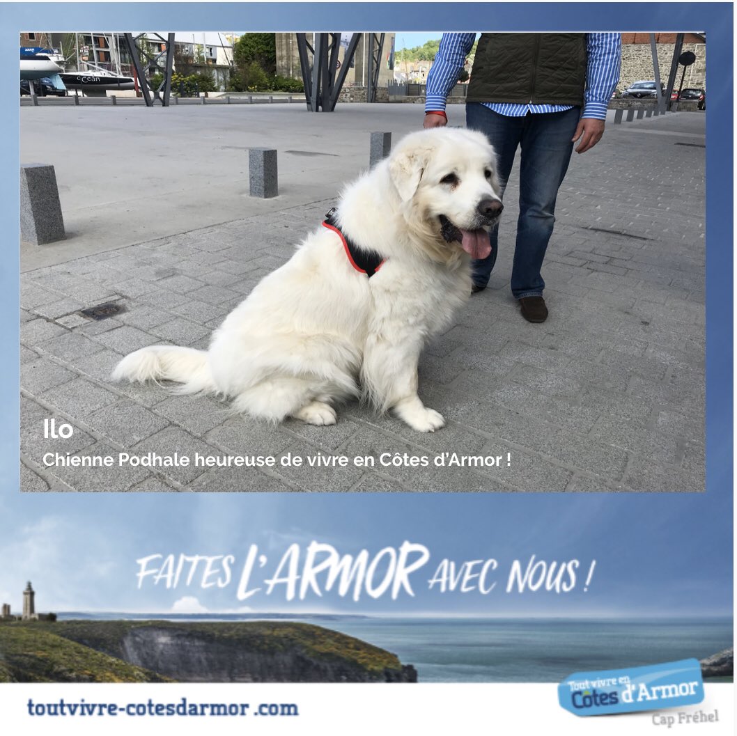 literieconfort1's tweet photo. Elle aussi est heureuse de #toutvivreencotesdarmor !
#cotesdarmor #bretagne #emojibreizh #emojibzh #Emoji2020 #cotesdarmor2020 #cotesdarmordestination #podhale #arcanesdhermes #bienvenuecheznous #passezalouest https://t.co/5z7vbs82pc