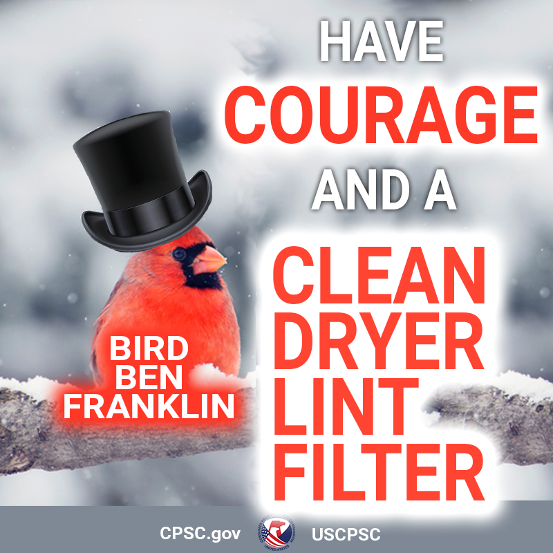 A red robin wearing a top hat. The text reads: Have courage and a clean dryer lint filter. Bird Ben Franklin.