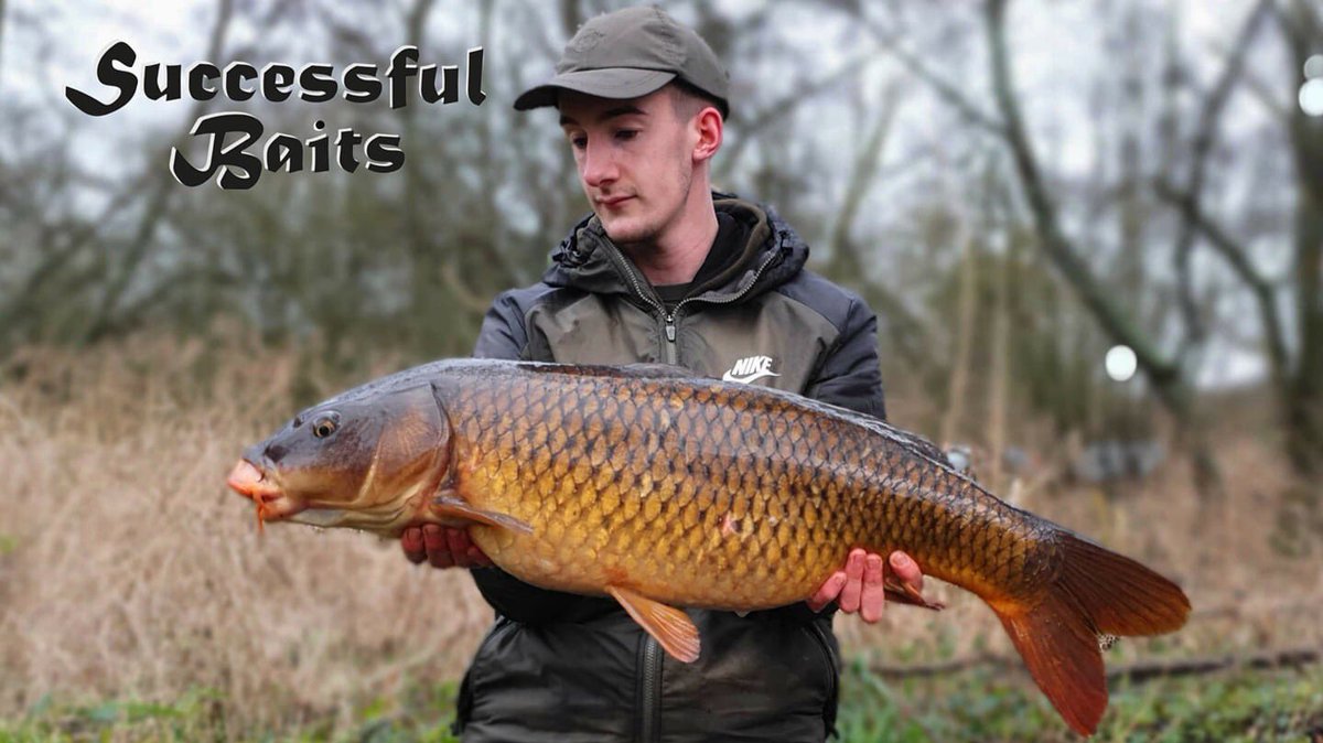 SuccessfulBait's tweet photo. 💥💥💥Catch Report💥💥💥

Our new team leader Michael Ogden (busted ankle an all) showing us how its done by putting this stunning winter Common on the bank that tipped the scales round to 18lb 15oz. Caught on a white VNX+ pop up close to snags.
https://t.co/xE3Kv8vxLe https://t.co/di63KJ1G0o