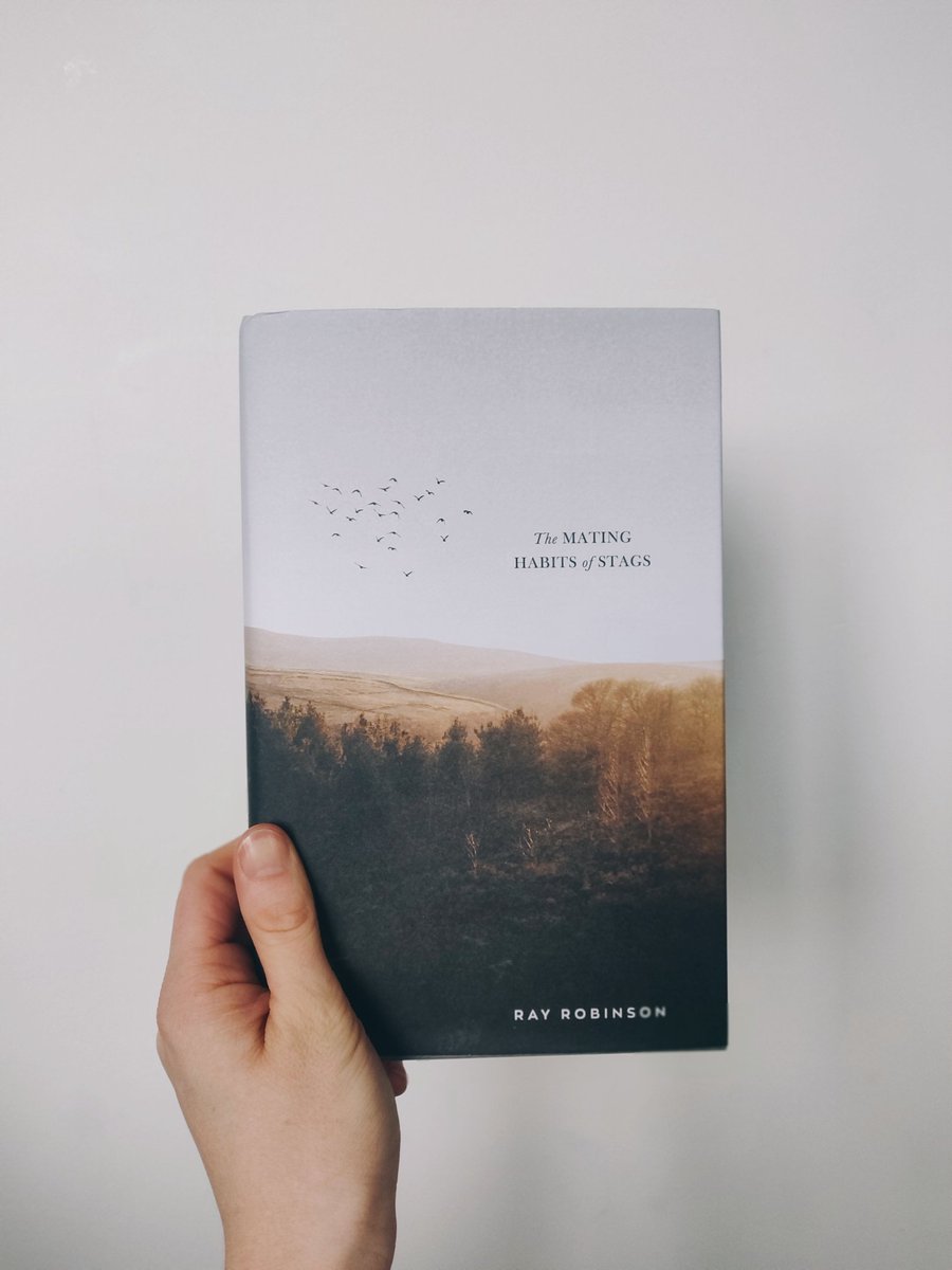 RebeccaMcCann_'s tweet photo. What a wonderful book. Completely striking and so beautifully written. I won't being forgetting this one anytime soon. Highly recommended @EyeAndLightning #TheMatingHabitsOfStags https://t.co/7EVhpBf1kg