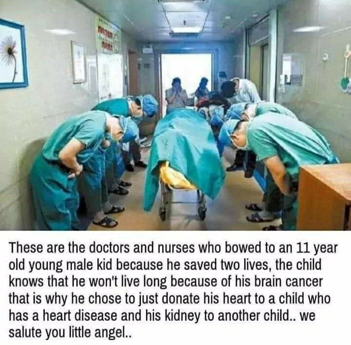 Developer_Jar's tweet photo. we salute little angel.🙏🙏💐💐
#Help #Salute #Angels #arraycode https://t.co/PKMwYUvgbT