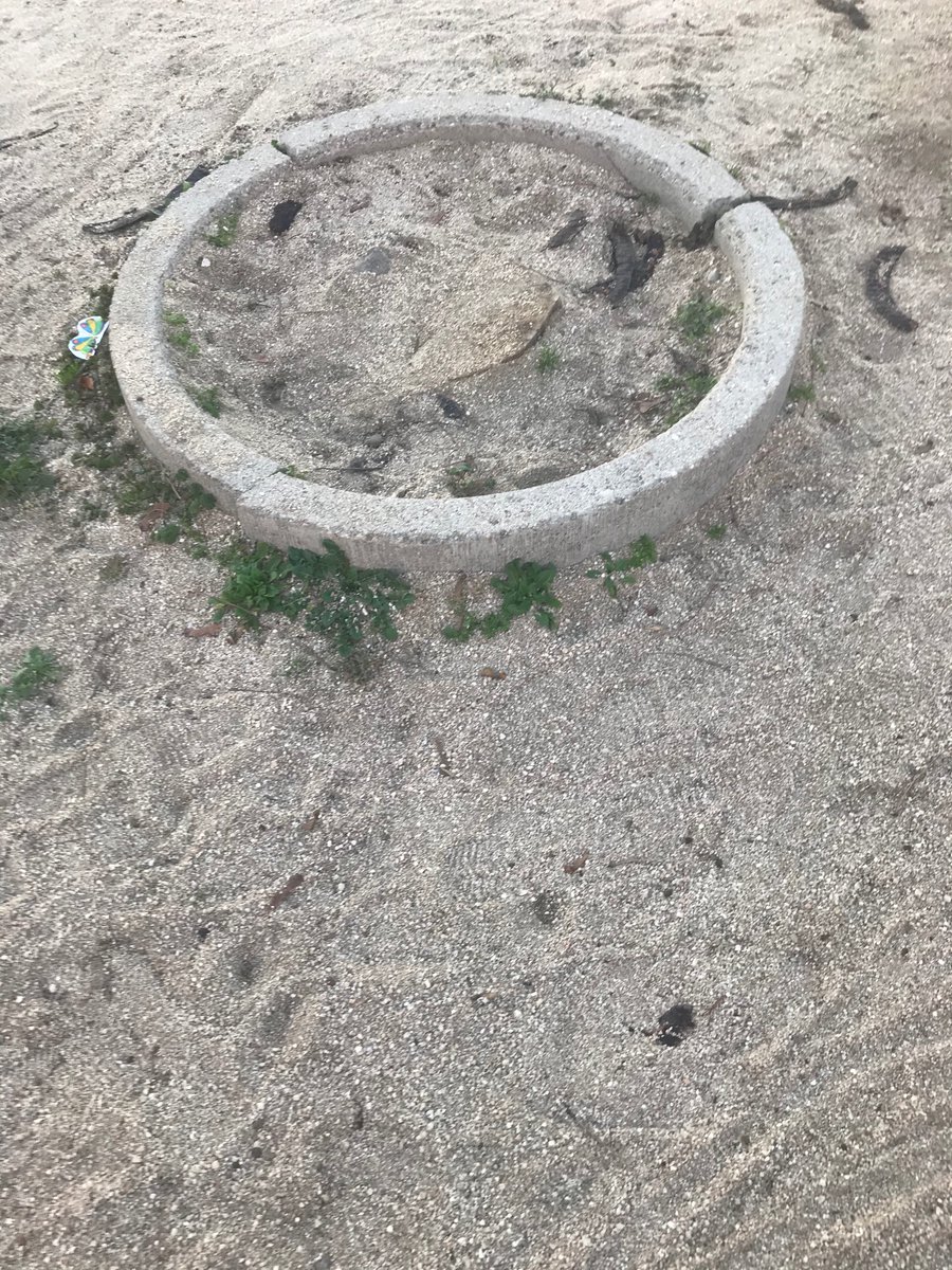 AVFontarron's tweet photo. @Lineamadrid @JMDpvallecas Adjunto fotografías. Por favor, cumplan con el mantenimiento de parques y jardines. #SYRLM #RenovemosFontarrón https://t.co/Eb030njKiI