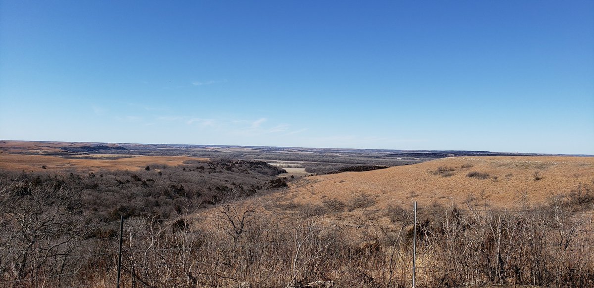 banditref's tweet photo. @SoLongSaloon Finally we also went hiking and having never truly been out on the prairie I had a bit of a religious experience. It's truly wonderful to be out there in that much open natural space. Go see Manhattan Kansas folks, you won't regret it. https://t.co/0NokjuWkx9