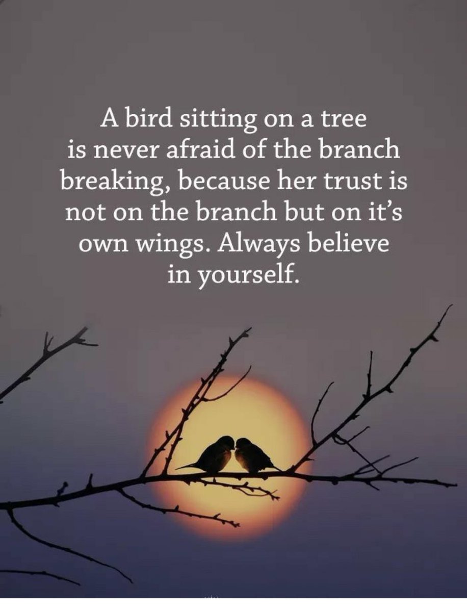 Dr. Christie Meyer (@drmeyer11) on Twitter photo 