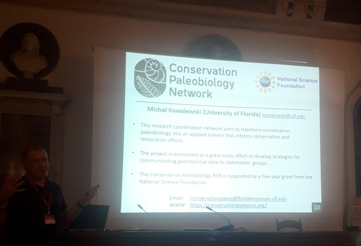 ilaria mazzini tweet media