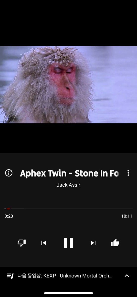 yetgol_saloon's tweet photo. 2020.02.04. Aphex twin - Stoned in focus https://t.co/bYLAzWnT5r
진정한명상음악을보여주는기분으로다가,이음악의묘미는무한반복되는일본원숭이의온천욕장면인데이상하게도마음이평온해지며계속원숭이의시선을살피게되는 https://t.co/BP9LxULZTD