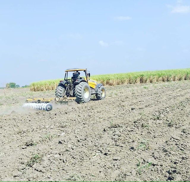 Soca-Portuguesa tweet media