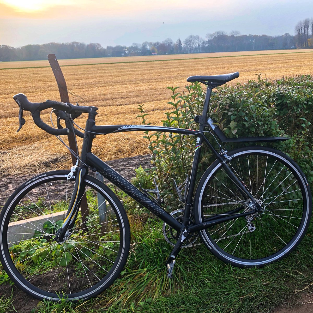 ReneDeFietser's tweet photo. Mijn dagelijkse woon-werkfiets. Niks mis mee toch? Wat is jouw woon-werkfiets? #forens #woonwerk #racefiets #ebike #speedelec #commute #strava https://t.co/Jn2BgJlyeO