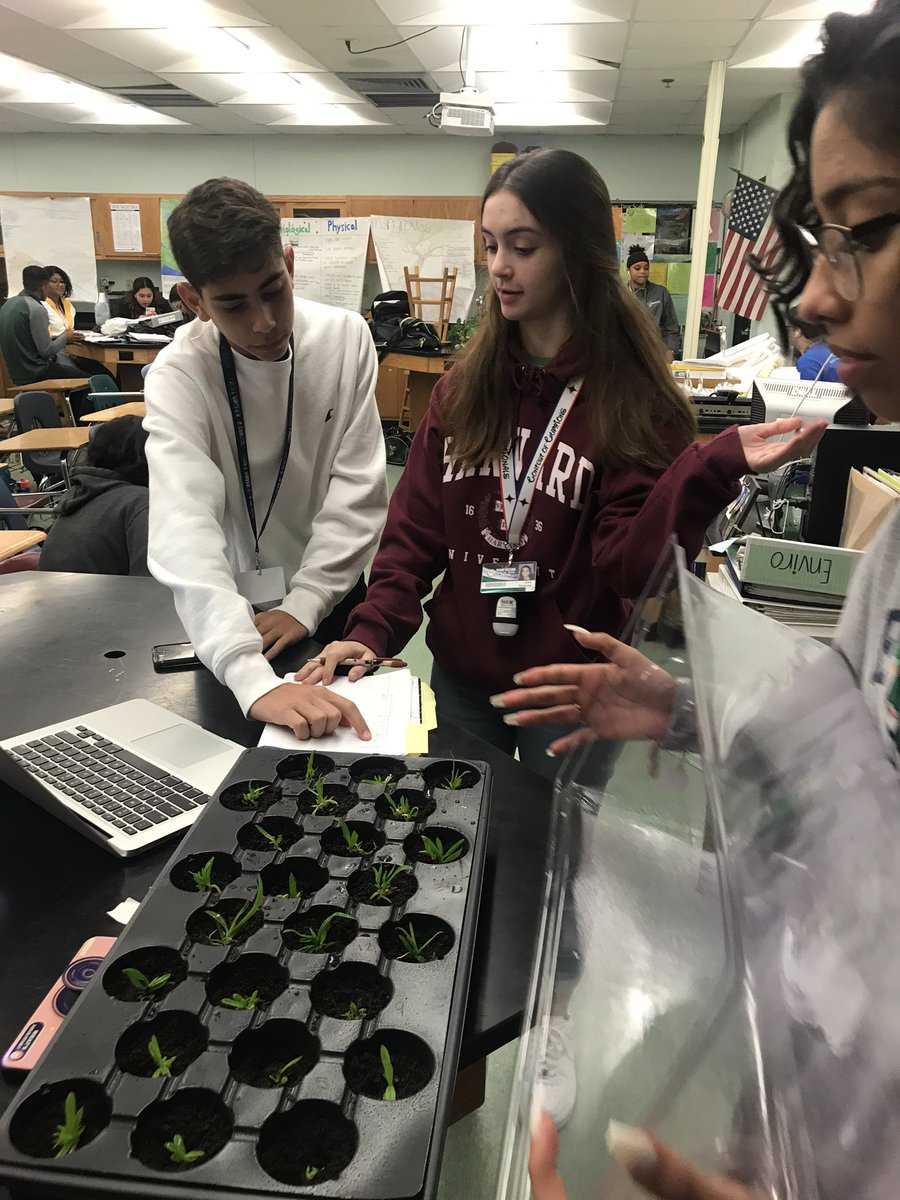 killianfc's tweet photo. @FairchdChallnge @millionorchid team records measurements. Native orchids and hybrids all looking good🌸🌸 https://t.co/L5g7reLIeQ
