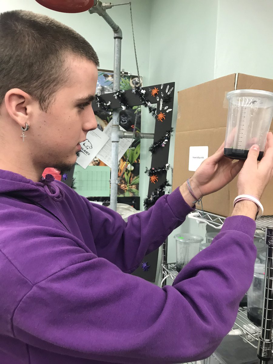 killianfc's tweet photo. @FairchdChallnge @millionorchid team records measurements. Native orchids and hybrids all looking good🌸🌸 https://t.co/L5g7reLIeQ