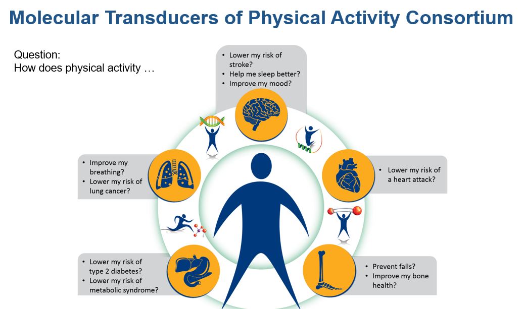 Image: A slide from Dr. Carter’s presentation.