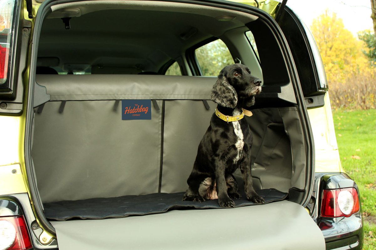 HatchbagCompany's tweet image. Thinking of buying a Hatchbag boot liner? 
Not sure what extras you may need? Read the article below for more information about the boot liner accessories 
#keepyourcarclean #carbootliner #bootprotection #hatchbagliners #travellingwithdogs
ow.ly/UQtw30qeSfJ