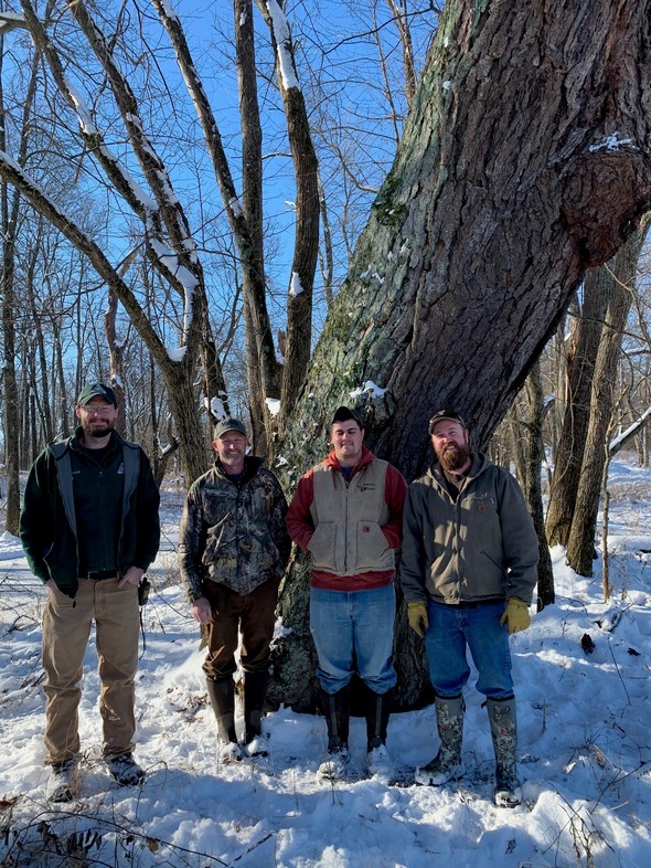 Forester A.J. Campbell stands at the base of the champion river birch tree with George Wieberg, Kirby Asher, and Andrew Robinson - who manage the Howard County farm where the tree is located.