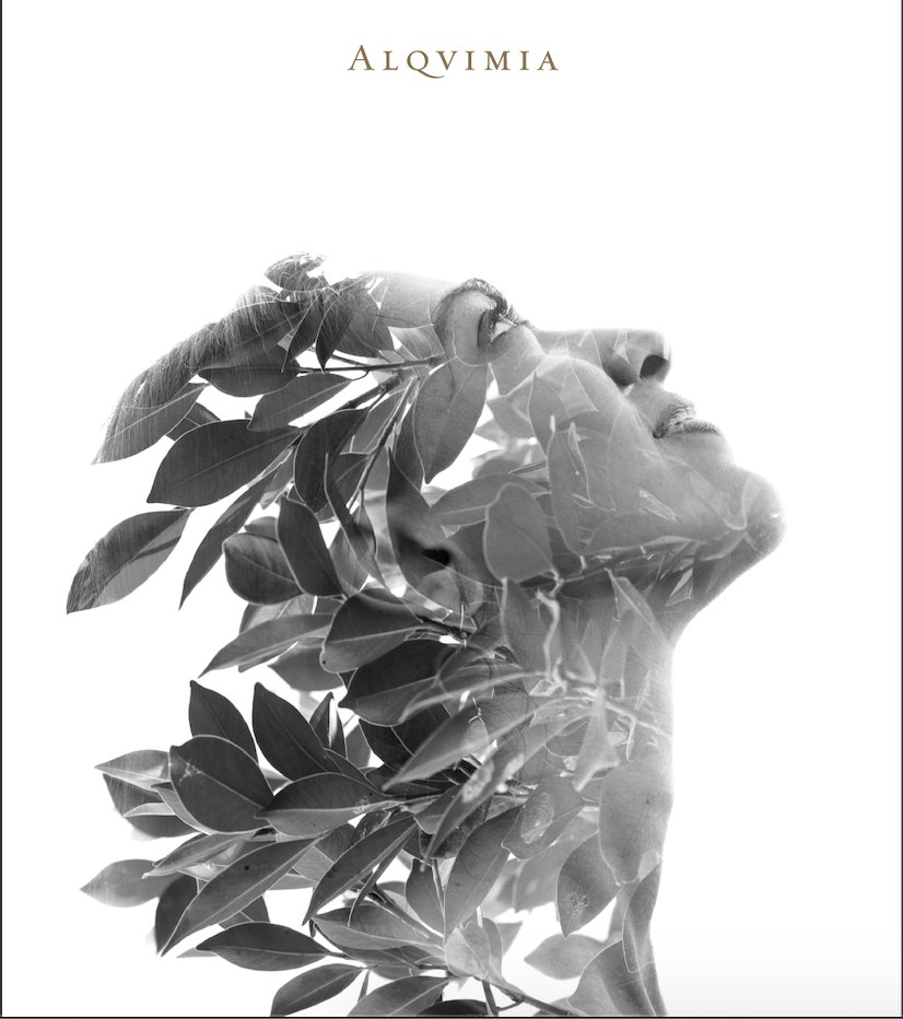 Alqvimia tweet media