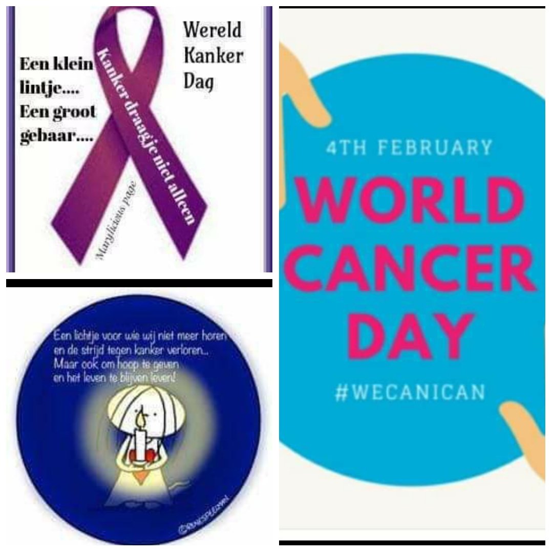 Sandra Ringoot tweet media