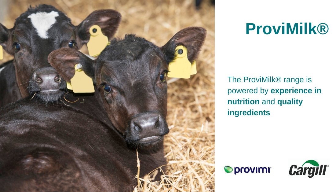 Provimilk Hashtag On Twitter