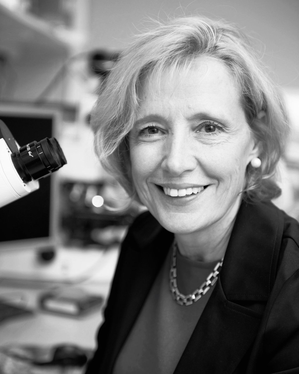 On today's agenda: a fascinating lecture on the science of sound, delivered by Professor Barbara Canlon of Karolinska Institutet. Meet us at stand A02:18 at the Stockholm Furniture &amp; Light Fair!