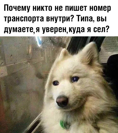 Ужасные мемы tweet media