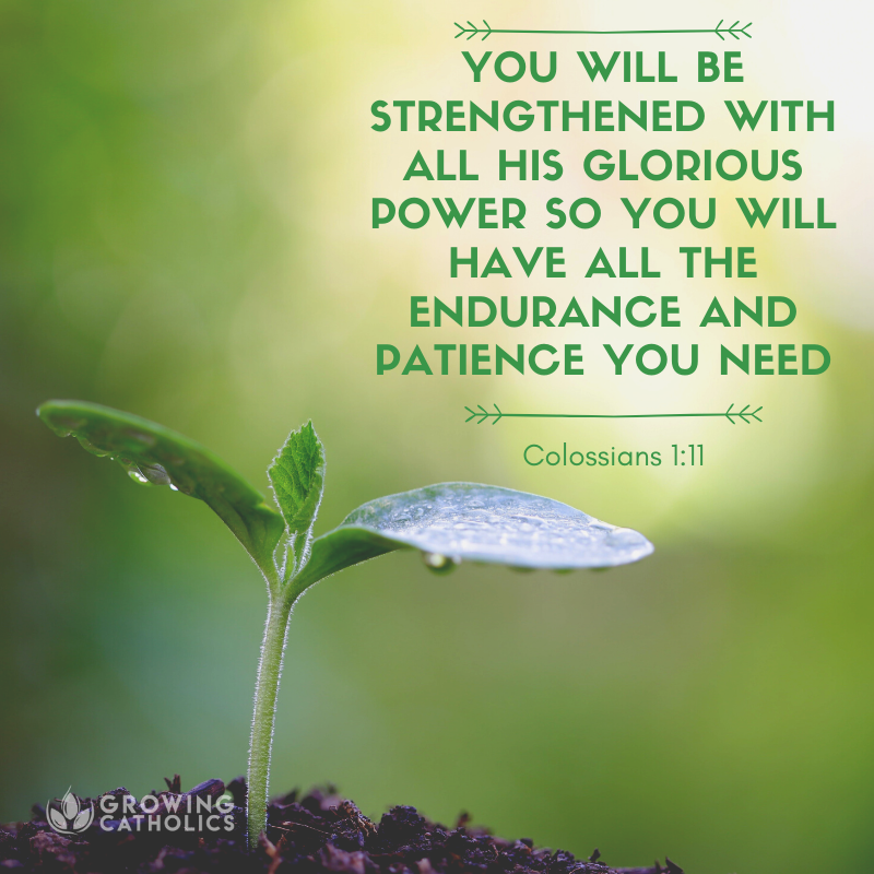 GCatholics's tweet photo. All You Need - https://t.co/Vwy7lbNLeb
#bible #scripture #bibleverse #dailybible https://t.co/ZMH9puVmej