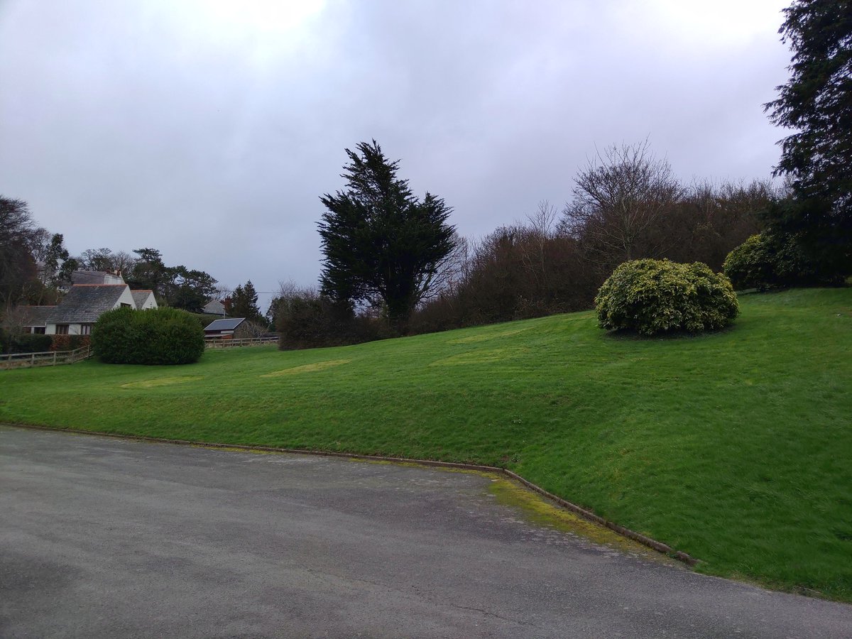 GROWBangor's tweet photo. It's a little bit cold and windy, but overall the weather is looking good for todays tree planting preparation event ready for our @WoodlandTrust trees! Wrap up warm and come give us and @BangorEnviro a hand from 11am until 2pm! 🌲🌳🌲🌳🌲

https://t.co/S5z23XSoiR https://t.co/OIQQIDDbob