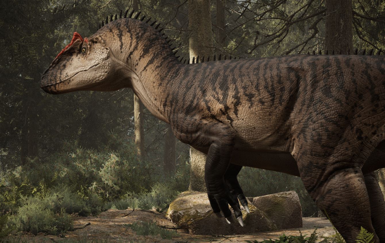 Allosaurus_jimmadseni