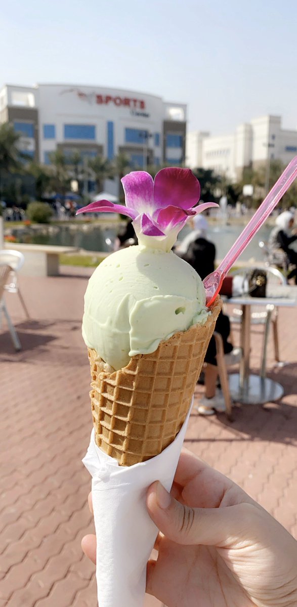 المالديفز ولا aum ؟؟ عمااار يا جامعتي  #aum