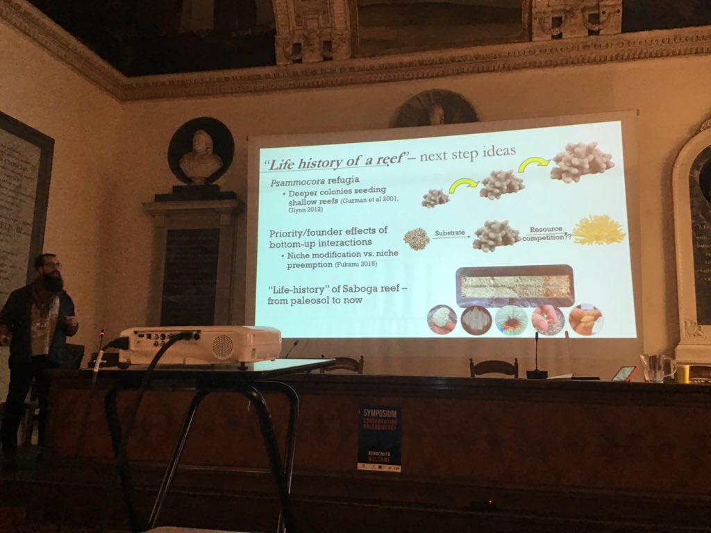 NHM Corals tweet media