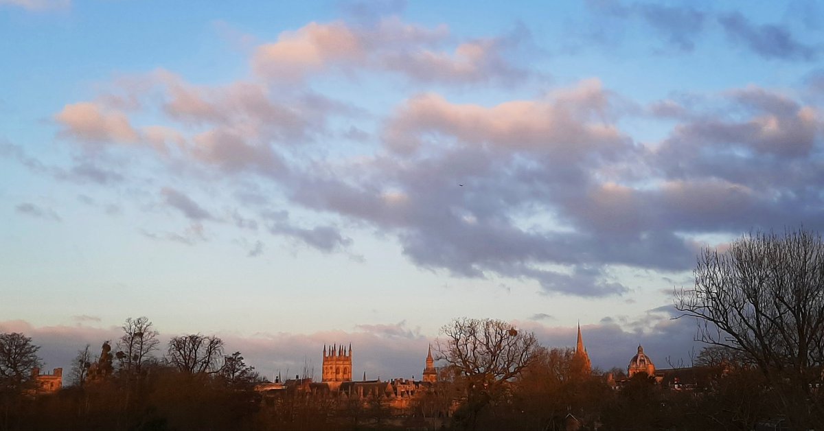 Morning, Oxford

#oxford #visitoxford #dreamingspires #dreamingspiresoxford #winter #winterinoxford #wintervibes #wintervibes❄️