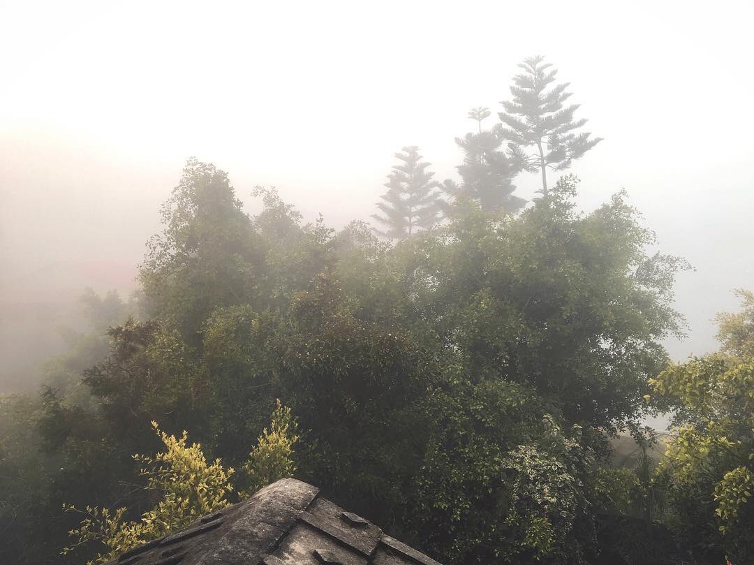 ohjustshootme's tweet photo. What the fog is coming? Tomorrow? 
They used to just descend, you know. 
#facebookmemories feb 4, 2018 #badpredictions #spoilers https://t.co/o3dCv4LOCP
