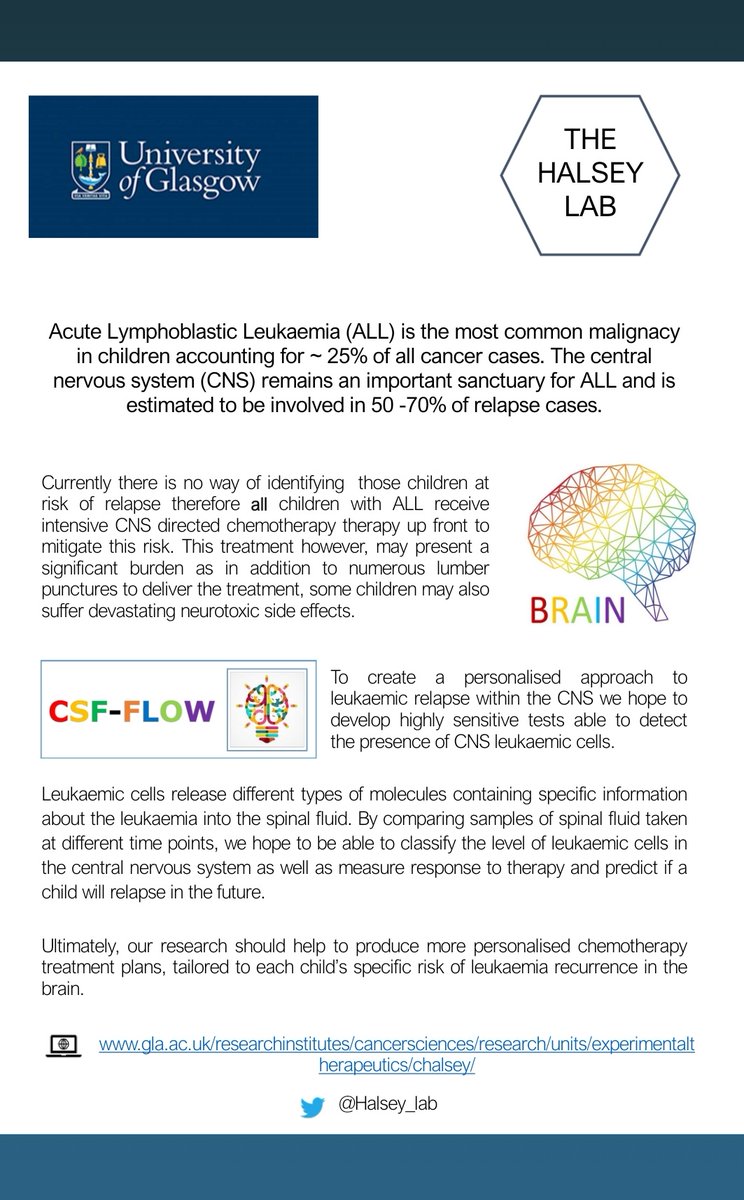 halsey_lab's tweet photo. Dedicated paediatric ALL research group working towards ways to identify more personalised treatment plans tailored to each child's risk of recurrence and with minimal devastating side effects.#WorldCancerDay2020 #WorldCancerDay featuring @CRUKGlasgow #unitybands #IAmAndIWill https://t.co/CVUn1c7bBI