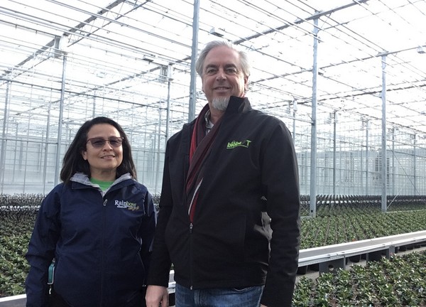 bpnieuws tweet media