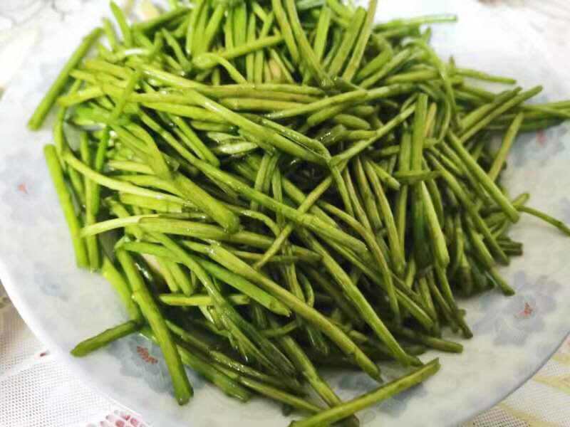 My mom sent me a photo of my favorite vegetable dish. Artemisia selengensis （Asteraceae）is the food that every family will eat in Chinese New Year. Great flavour just add a little salt and oil😍
