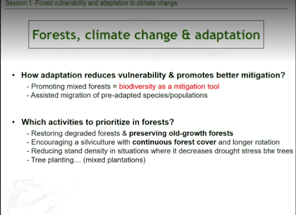Xavier Monin ends his presentation with #EU #Forest priorities. His first point is simple and straigthforward
PRESERVING THE REMAINING #OLDGROWTHFORESTS IN EUROPE
As first urgent action I hope our decision makers are still in the room
#morewildernessinEurope