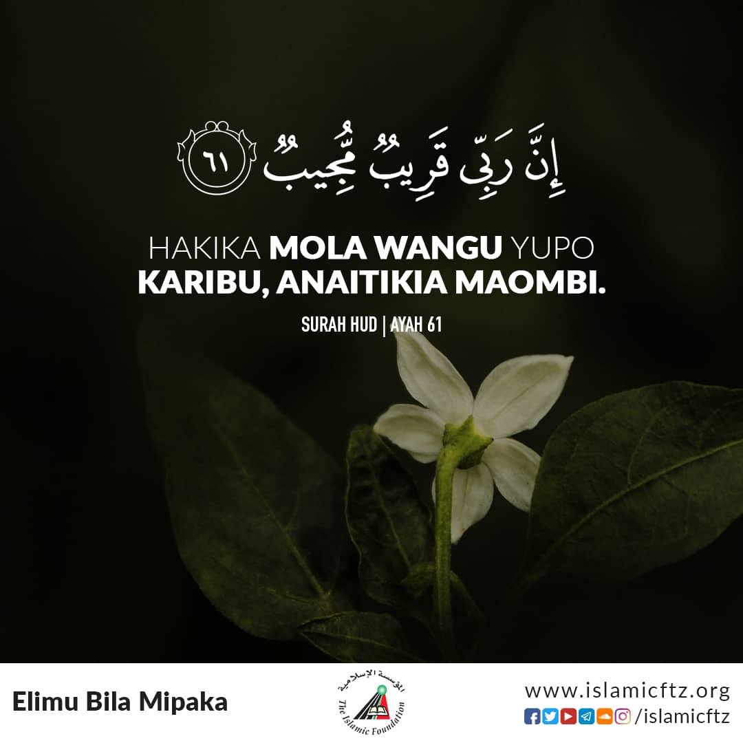 islamicftz's tweet photo. Hakika mda wote ALLAH yupo na anaitikia maombi yetu pale tunapo muomba,
Basi ondoa wasi na mashaka kwa kujua kuwa ALLAH yupo karibu na ni mwenye kujibu maombi yetu.
#quran #ayazaquran #dua #maombi #allah #almujib #karibu #dini #uislamu #mafundisho #ukumbusho #islamicftz https://t.co/zLR7g15KPx