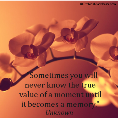 Marietta117's tweet photo. #lifegoeson #momenttomoment #thevalueoftime #love 🙃 https://t.co/Uc27qA2zzU