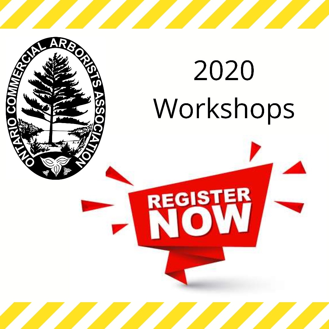 2020 OCAA Workshops
ontarioocaa.com/OCAA-Workshops

#OntarioOCAA  #2020Workshops #ArboristTraining